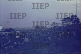 Trabalho : BR-SPIIEP_INF-EDP-DPS_TRA-010-18 [diapositivo]