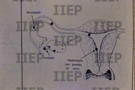 Saúde : BR-SPIIEP_INF-EDP-DPS_SAU-021-07 [diapositivo]