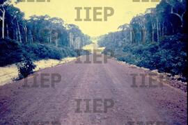Ecologia : BR-SPIIEP_INF-EDP-DPS_ECO-026-20 [diapositivo]