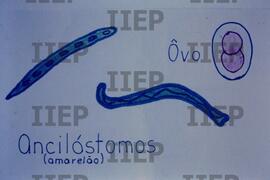 Saúde : BR-SPIIEP_INF-EDP-DPS_SAU-020-15 [diapositivo]