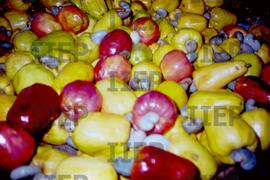 Terra : BR-SPIIEP_INF-EDP-DPS_TER-014-03 [diapositivo]