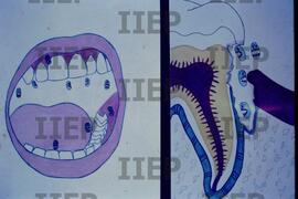 Saúde : BR-SPIIEP_INF-EDP-DPS_SAU-018-03 [diapositivo]