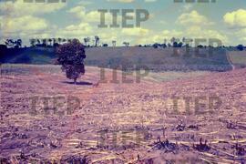 Terra : BR-SPIIEP_INF-EDP-DPS_TER-026-07 [diapositivo]