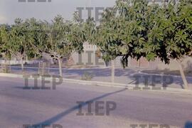 Terra : BR-SPIIEP_INF-EDP-DPS_TER-054-10 [diapositivo]