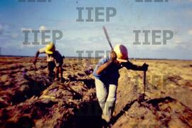 Terra : BR-SPIIEP_INF-EDP-DPS_TER-027-10 [diapositivo]