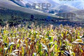 Trabalho : BR-SPIIEP_INF-EDP-DPS_TRA-175-21 [diapositivo]