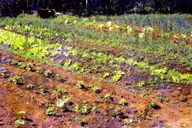 Terra : BR-SPIIEP_INF-EDP-DPS_TER-017-02 [diapositivo]