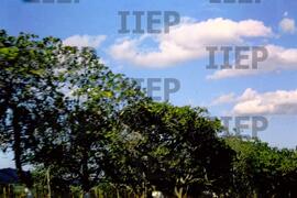 Terra : BR-SPIIEP_INF-EDP-DPS_TER-054-11 [diapositivo]