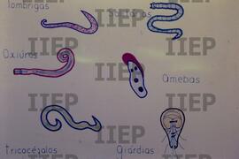 Saúde : BR-SPIIEP_INF-EDP-DPS_SAU-019-04 [diapositivo]