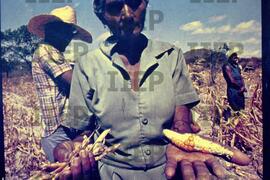 Terra : BR-SPIIEP_INF-EDP-DPS_TER-051-15 [diapositivo]
