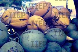 Terra : BR-SPIIEP_INF-EDP-DPS_TER-014-06 [diapositivo]