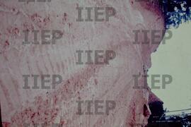 Ecologia : BR-SPIIEP_INF-EDP-DPS_ECO-026-18 [diapositivo]