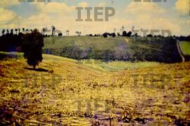 Cidades : BR-SPIIEP_INF-EDP-DPS_CID-030-04 [diapositivo]