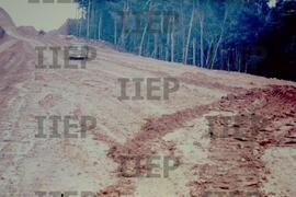 Ecologia : BR-SPIIEP_INF-EDP-DPS_ECO-026-15 [diapositivo]
