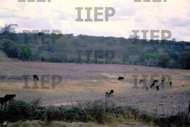 Terra : BR-SPIIEP_INF-EDP-DPS_TER-043-01 [diapositivo]