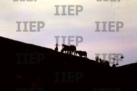 Cidades : BR-SPIIEP_INF-EDP-DPS_CID-031-08 [diapositivo]