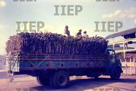 Terra : BR-SPIIEP_INF-EDP-DPS_TER-025-03 [diapositivo]