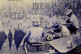 Trabalho : BR-SPIIEP_INF-EDP-DPS_TRA-175-11 [diapositivo]