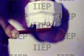 Saúde : BR-SPIIEP_INF-EDP-DPS_SAU-010-17 [diapositivo]