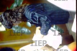 Geral : BR-SPIIEP_INF-EDP-DPS_GER-013-01 [diapositivo]