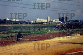 Terra : BR-SPIIEP_INF-EDP-DPS_TER-006-01 [diapositivo]