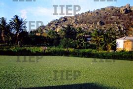 Terra : BR-SPIIEP_INF-EDP-DPS_TER-052-08 [diapositivo]