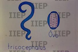 Saúde : BR-SPIIEP_INF-EDP-DPS_SAU-020-12 [diapositivo]